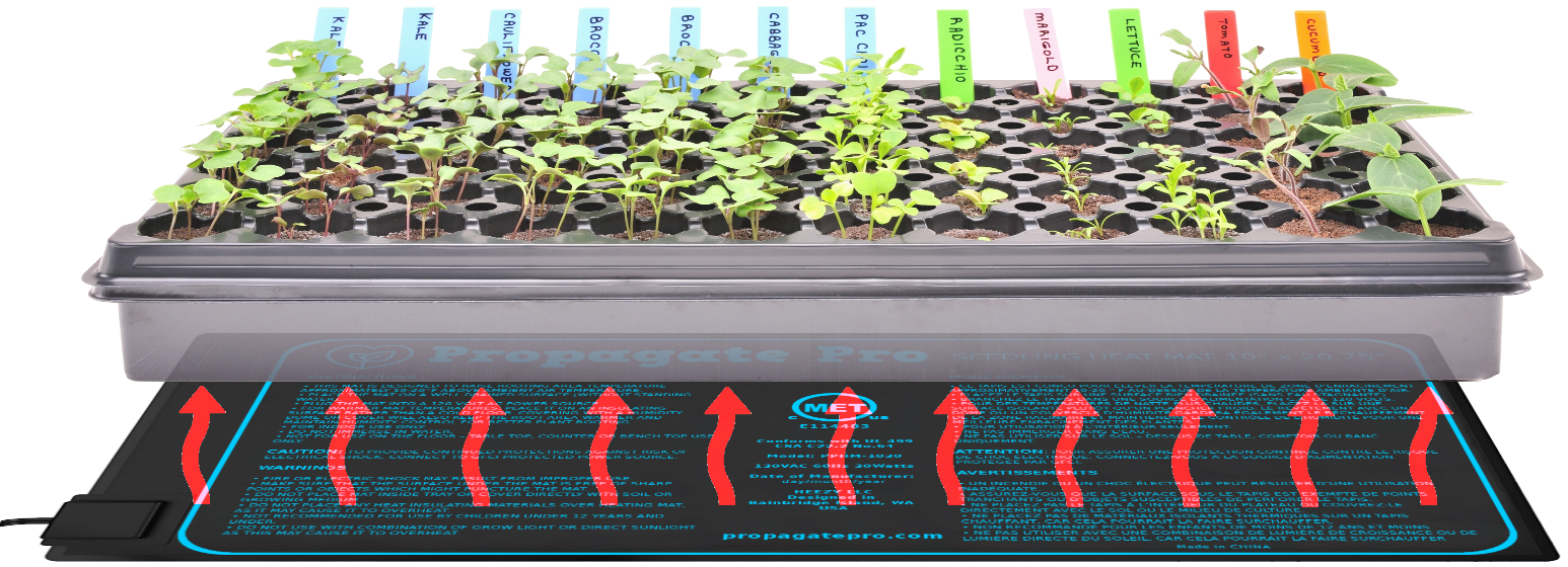 heat mat for indoor plants Double Tray Seedling Heating Mat 20" x 20" Fits (2) Standard 1020 Tray – Propagate Pro